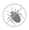 cert-no-bugs.png