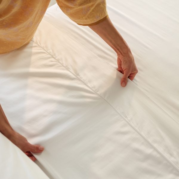 Cotton Sheets